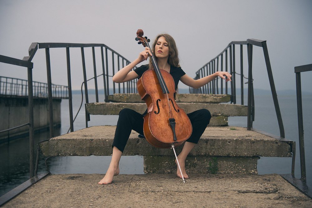 Звуки тишины