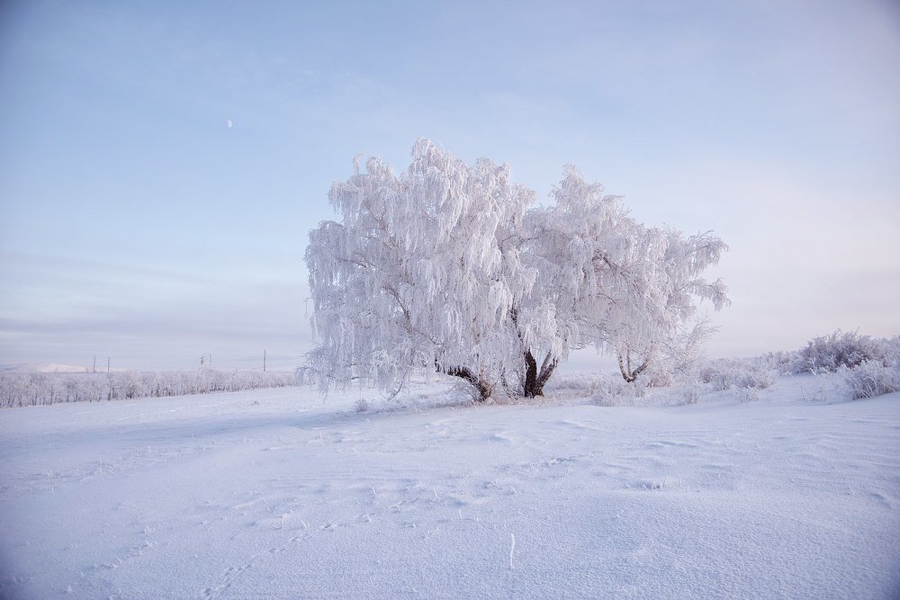Сиреневый закат