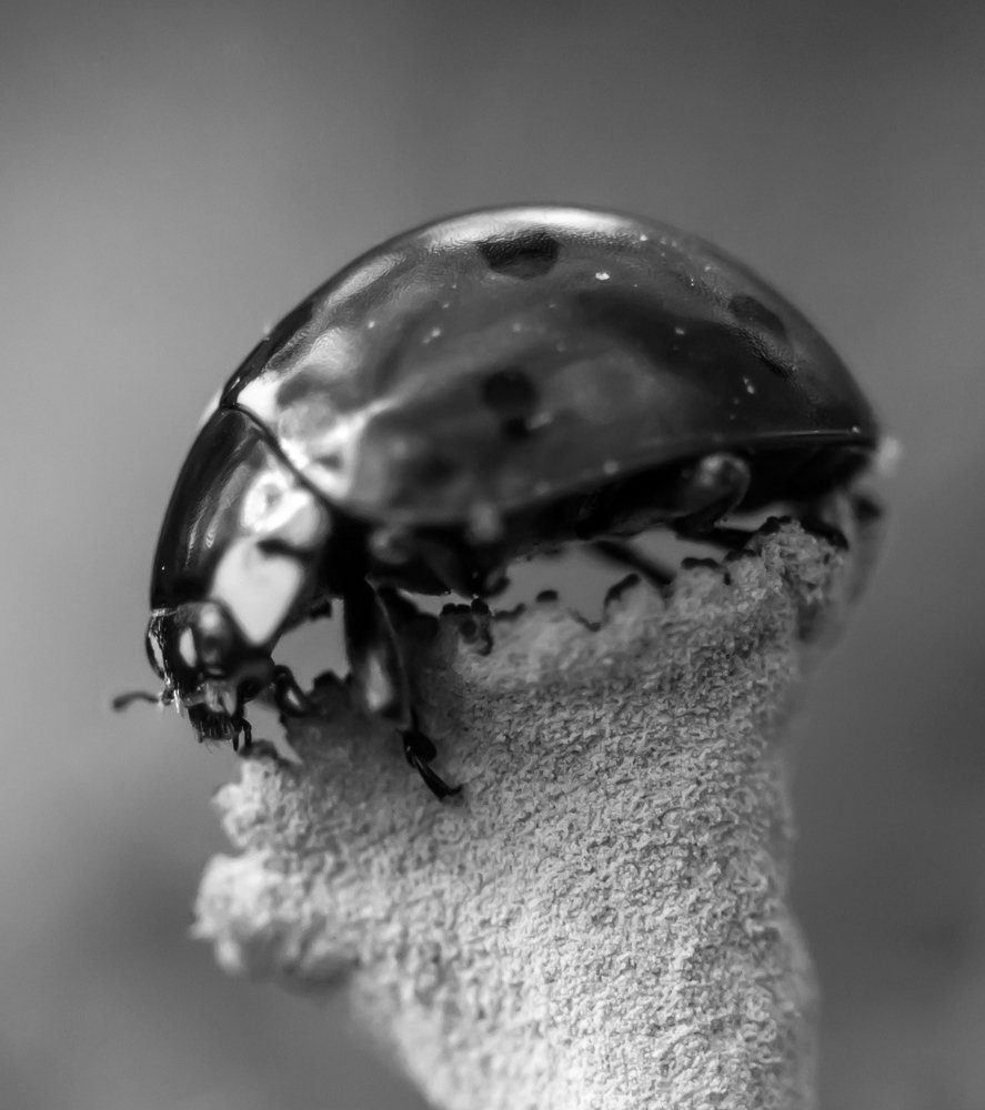 Супергерой в профиль