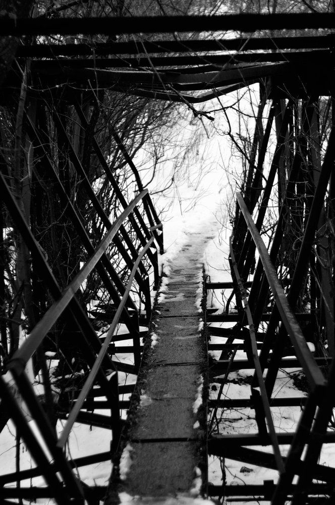 Девятые врата