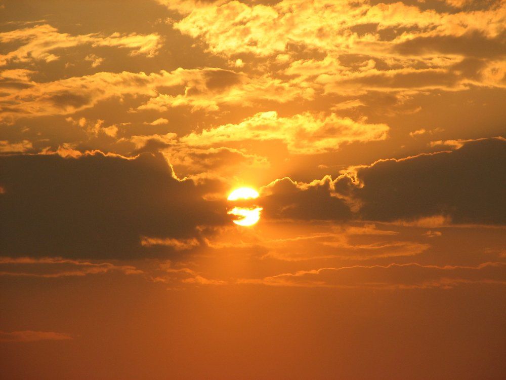 Photo #1210480
