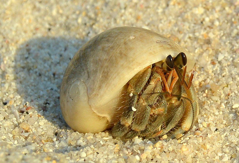 Грустный взгляд на солнечный закат