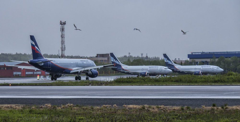 Родственные души.