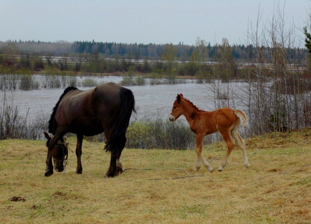 Photograph by Степанида Колужских