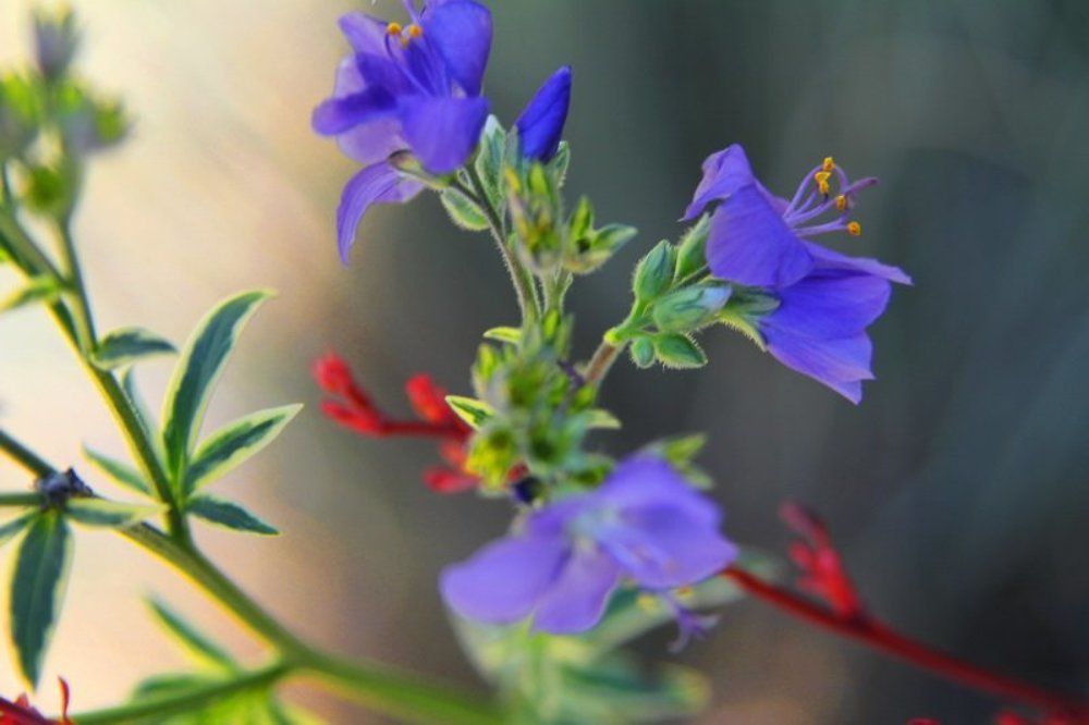 Photograph by Николай