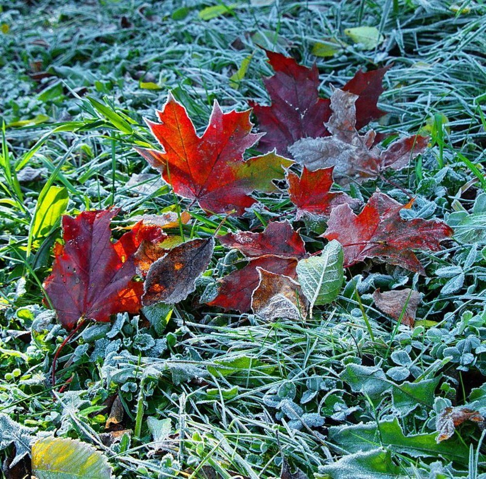 Photograph by Николай