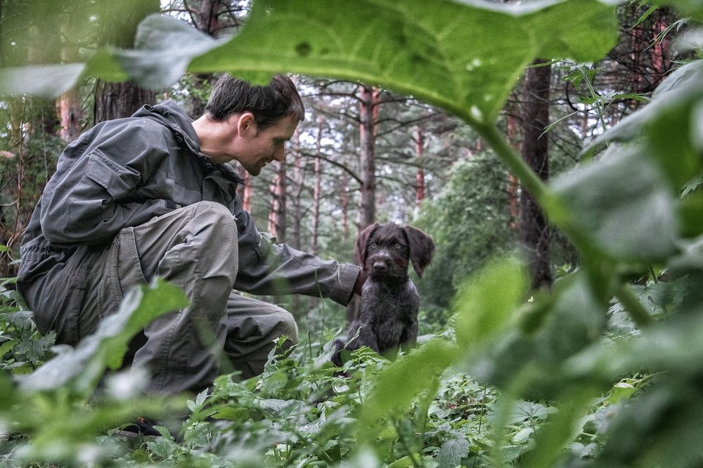 О природе и истинной дружбе