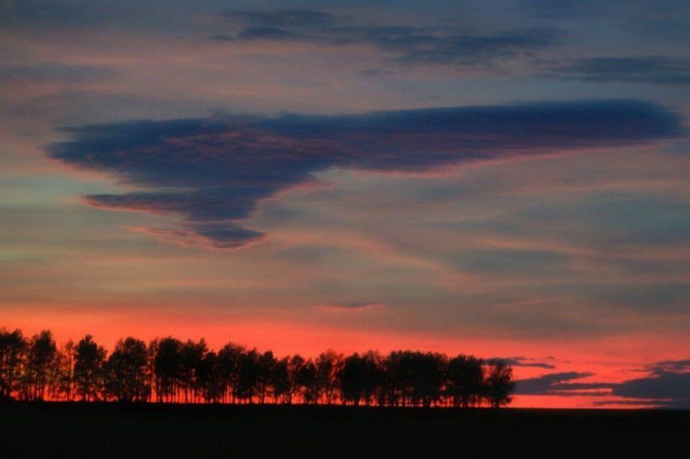 Алые паруса