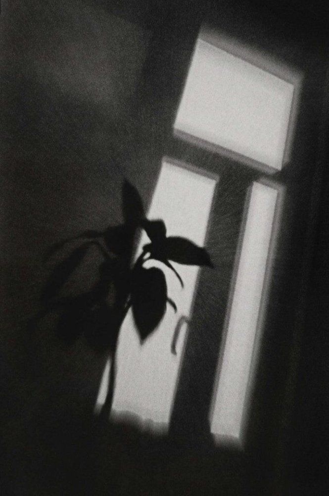 Photograph by Светлана Ульянова