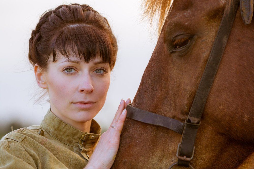 Красный комиссар и боевой конь