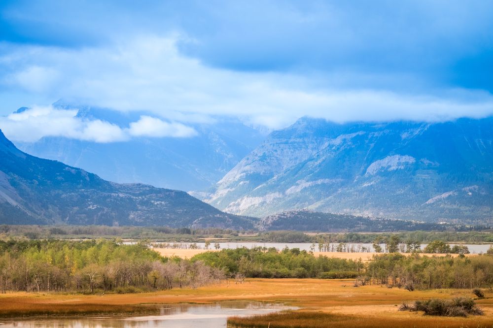 Осенний полдень