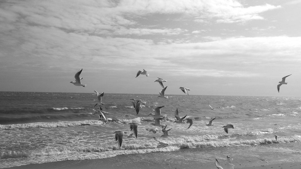 Photograph by Константин Сергеевич