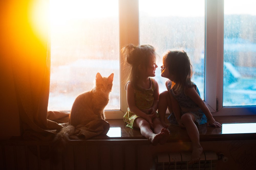 Мартовские котики