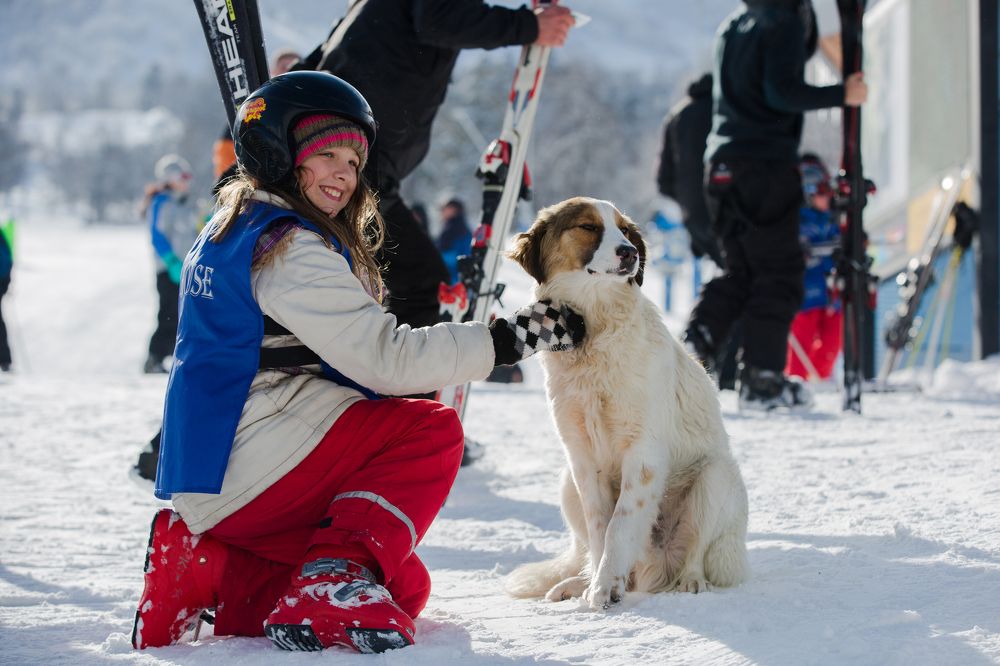 Любовь к собакам