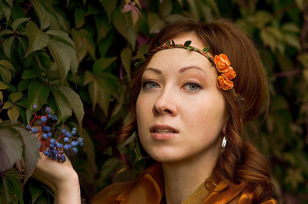 Дикий виноград.