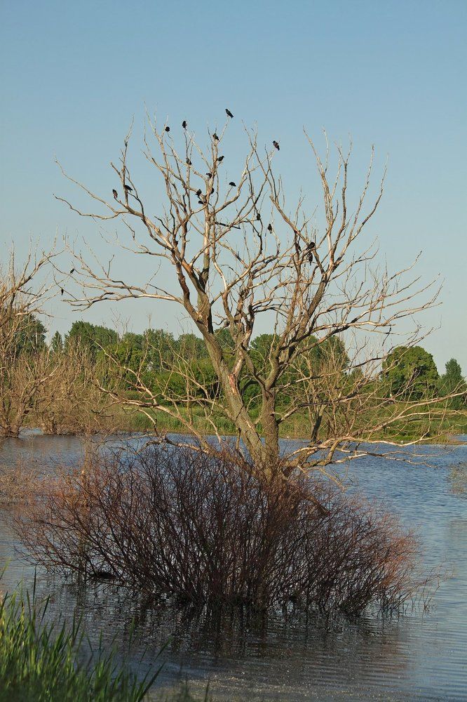 Ранняя весна.