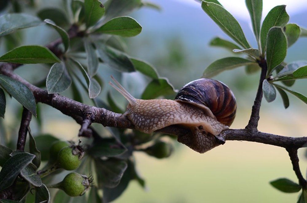 Photograph by Богатырева Ксения