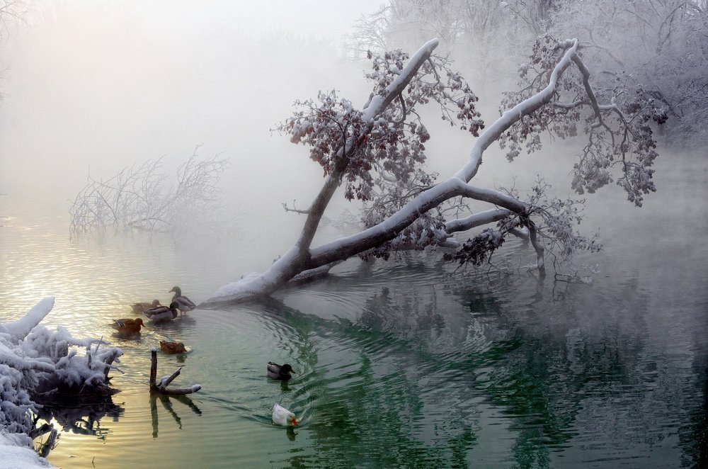 Зимнее утро.