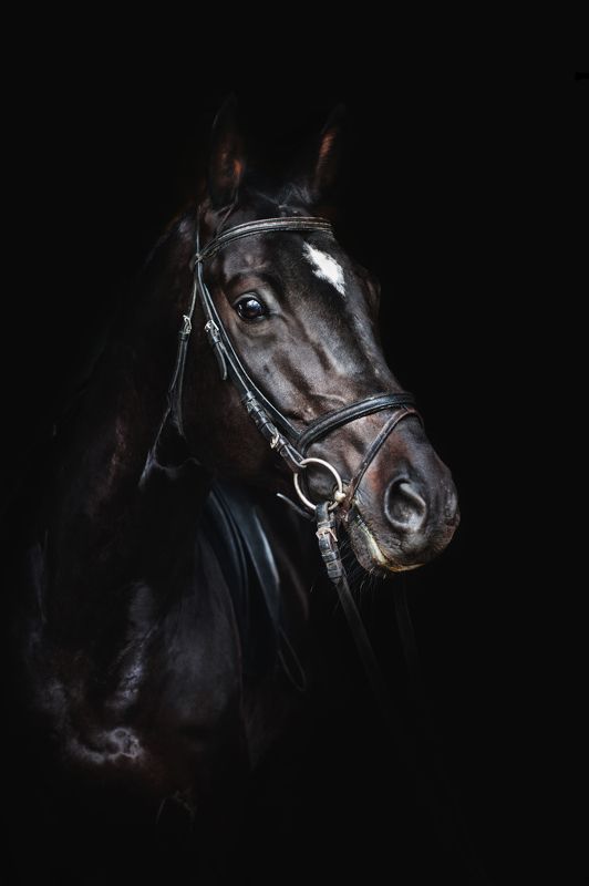 Arslanova Xenia, Russia