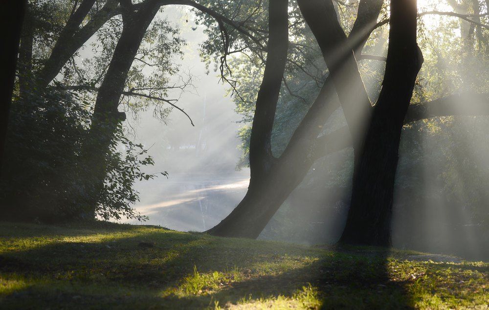 Про утренний свет....