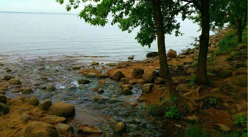 Шум воды
