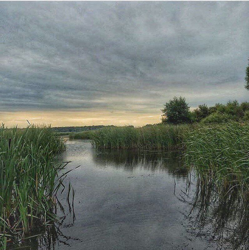 Marina Danilina, Russia