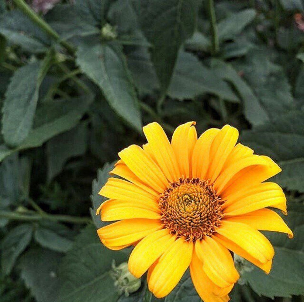 одиночество