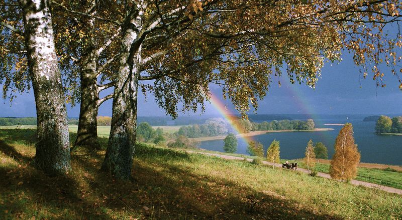 Alfridas Krivickas, Lithuania