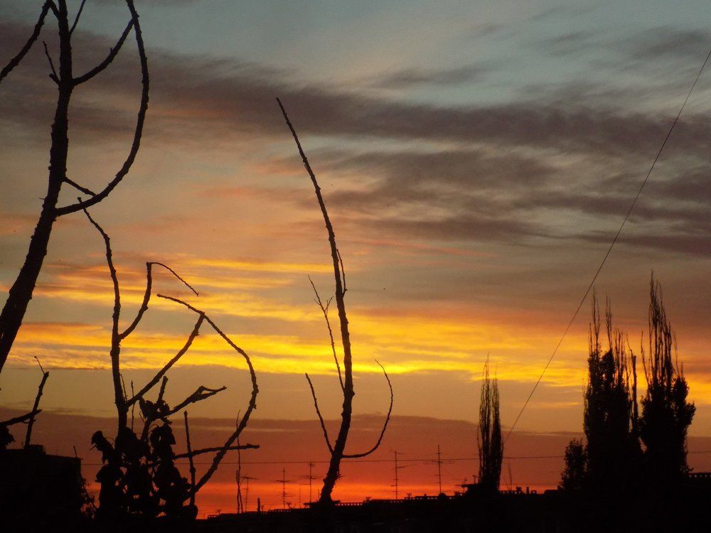 Летний рассвет