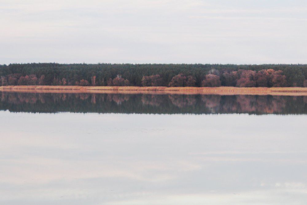 Линии природы