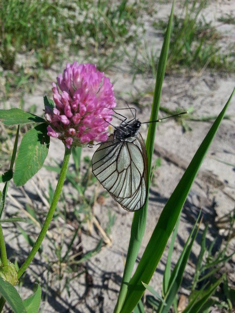 Photograph by Ksenia026