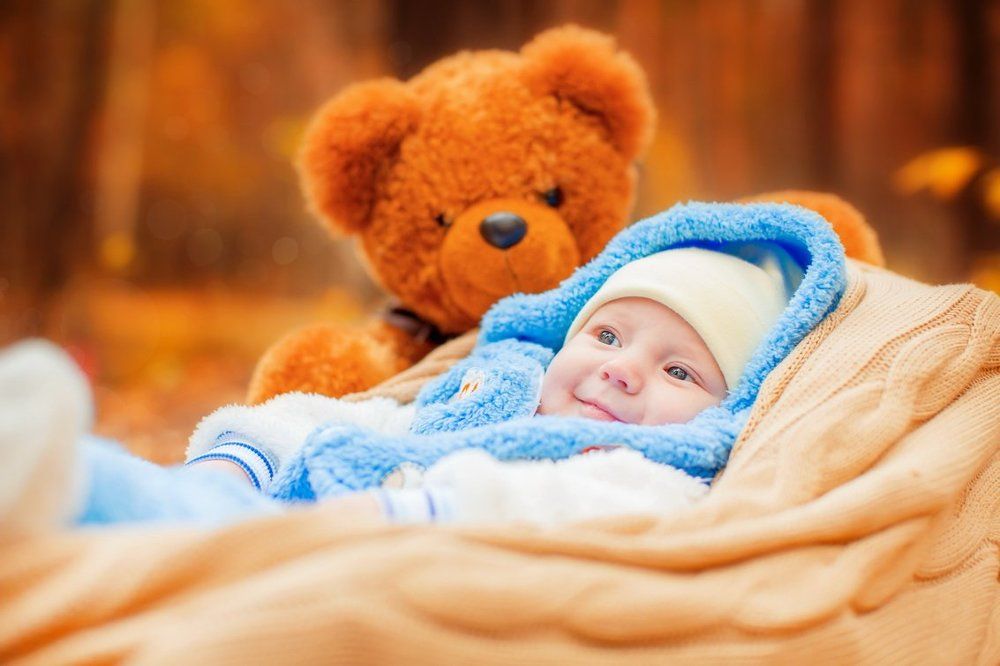 Однажды в лесу