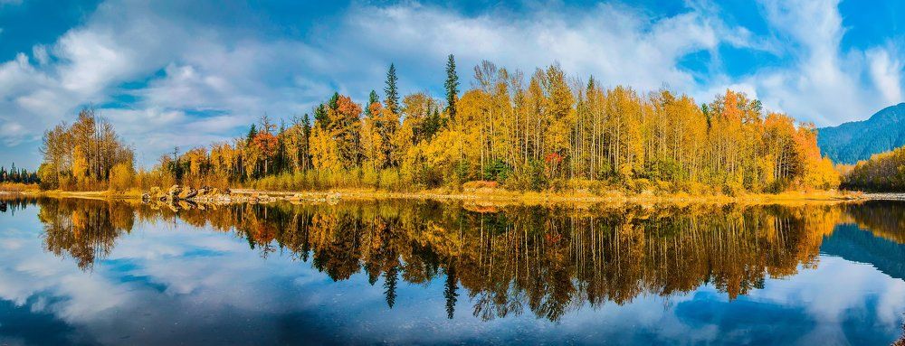 Золотая осень на Хамар-Дабане. Река Снежная.