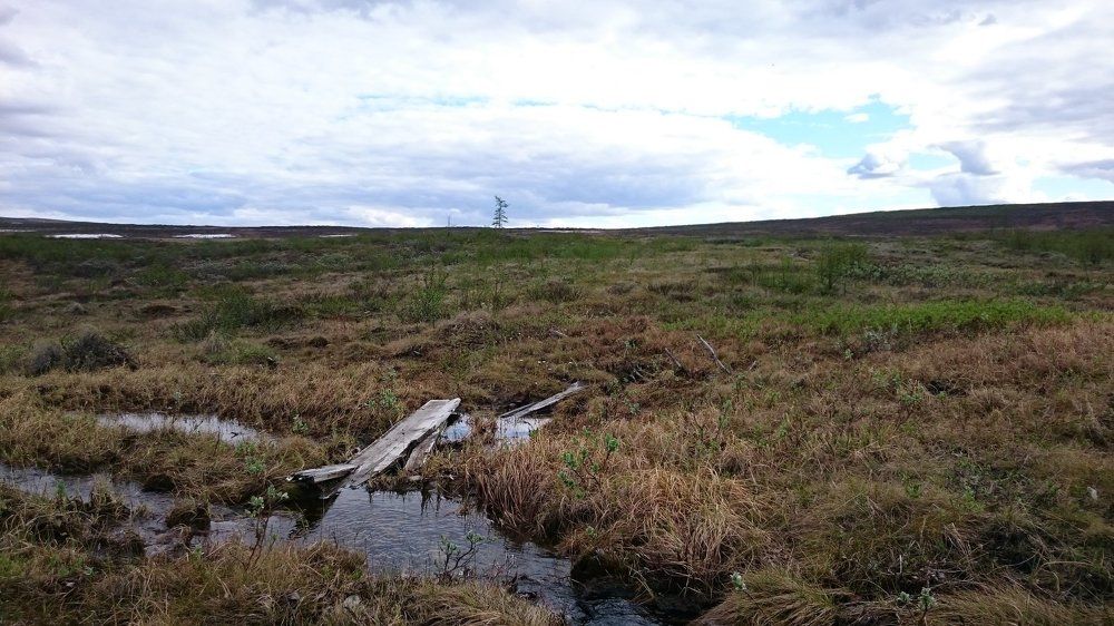 Photograph by Валентин