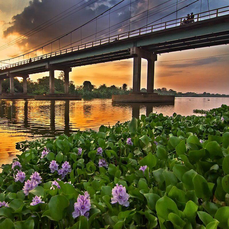 Rizky Fitrahyanto, Indonesia