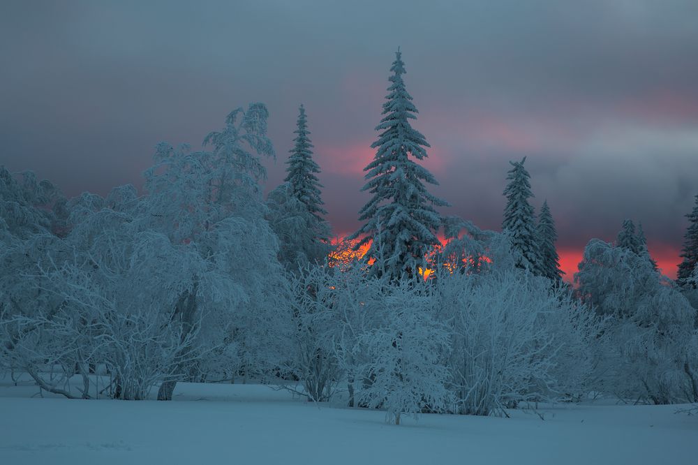Зимний пожар