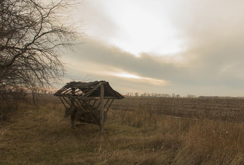 Aleksandr Anokhov, Ukraine
