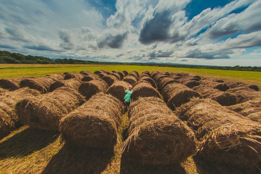 Photograph by Бердянова Дарья