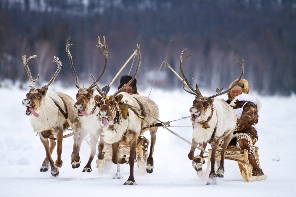 Мы помчимся утром ранним...