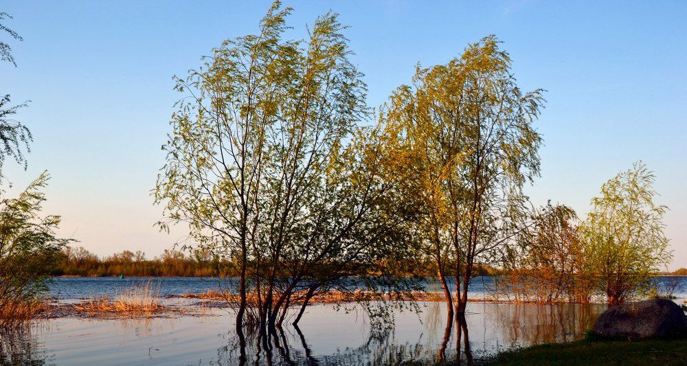 весенний паводок