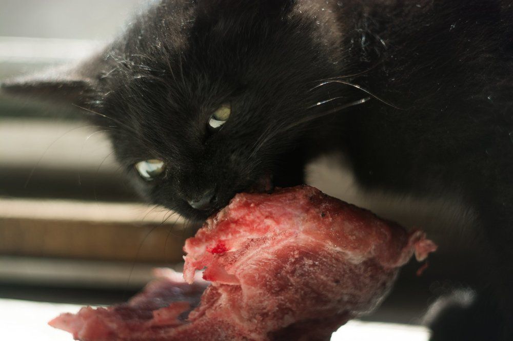 Добыча, не по размеру