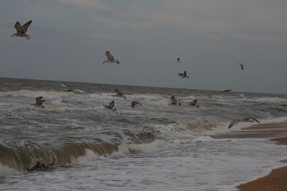 Photograph by Кирилл