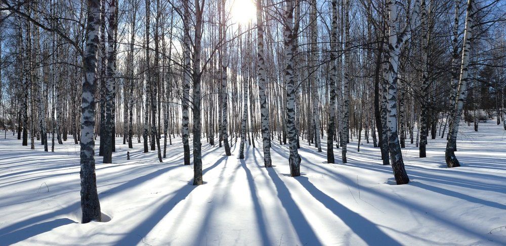 Photograph by grigory