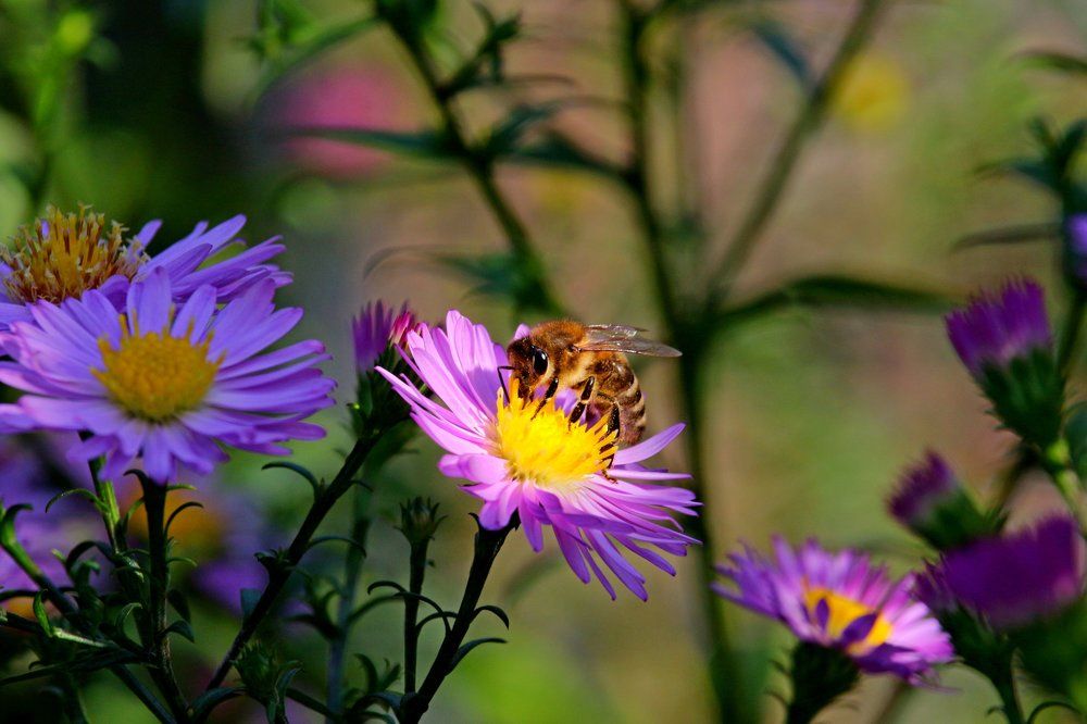 Пригрелась