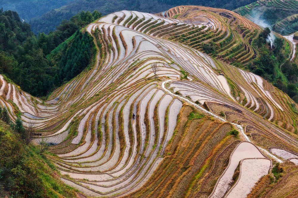 Рисовые террасы Драконьего Хребта