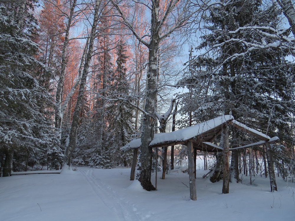 Охотничий шалаш