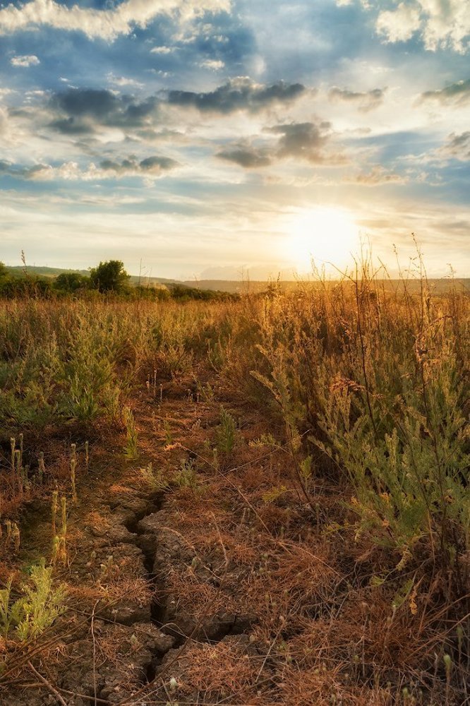 В ожидании дождя