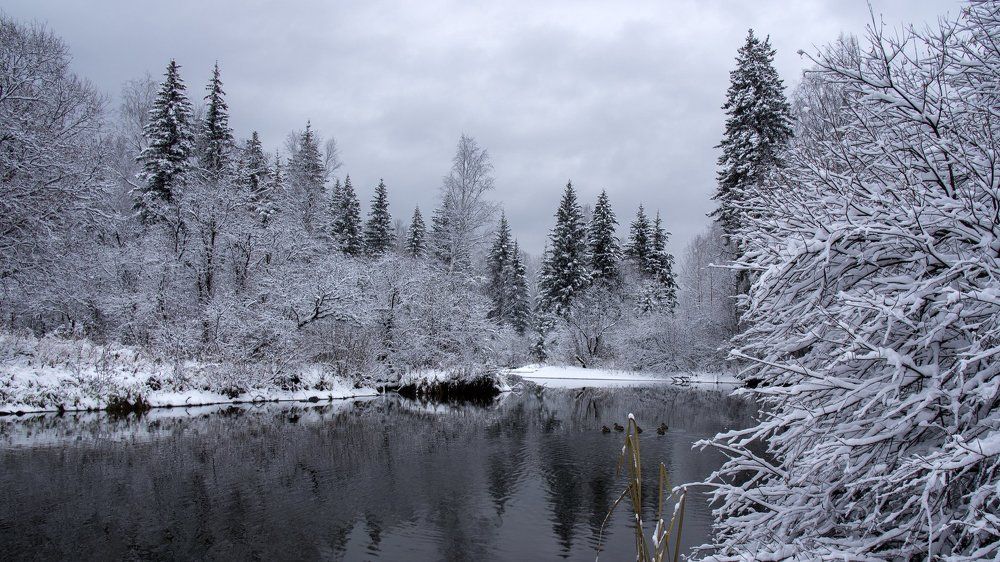 Серебряная осень