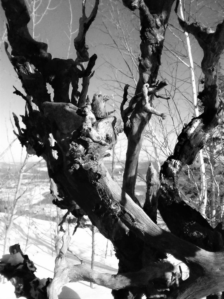 Photograph by Юрий Ефремов