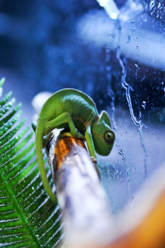 Марина, Russia